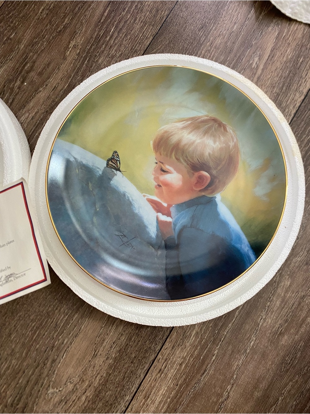 Ceramic Collectors Plate- Sunny Surprise